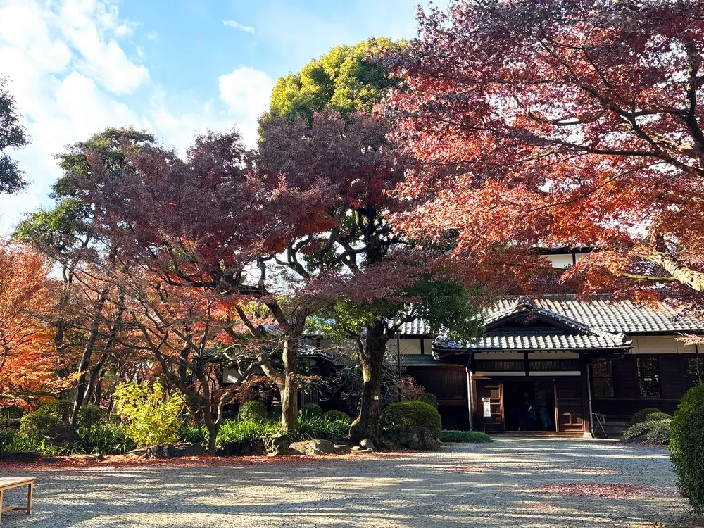 晩秋の旧朝倉家住宅