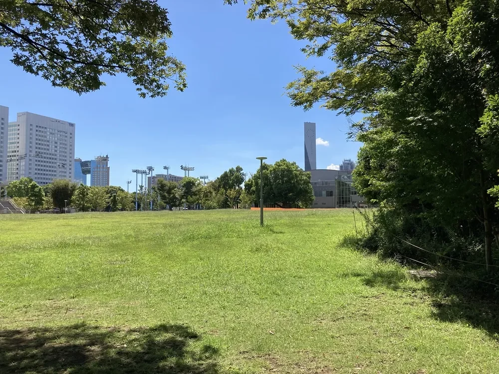 有明テニスの森公園 広場