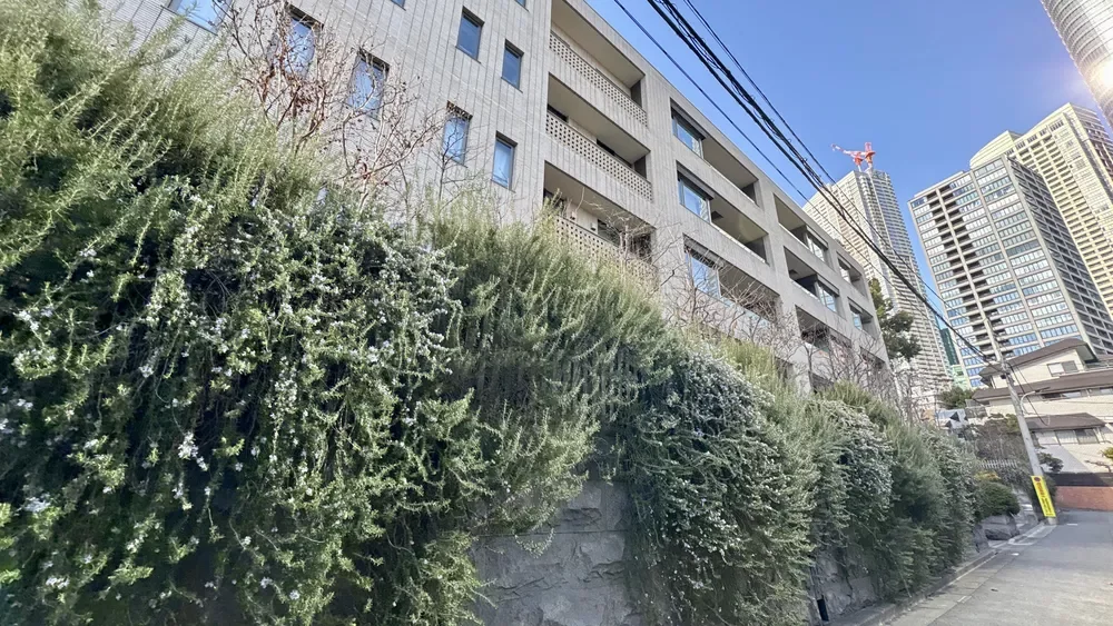 ウェリス麻布狸穴 植栽・石垣