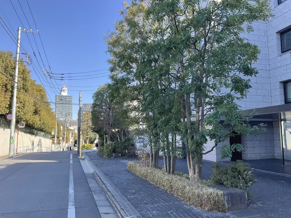 グランドメゾン松涛 外観