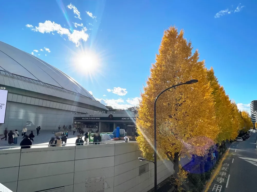 東京ドーム 銀杏並木