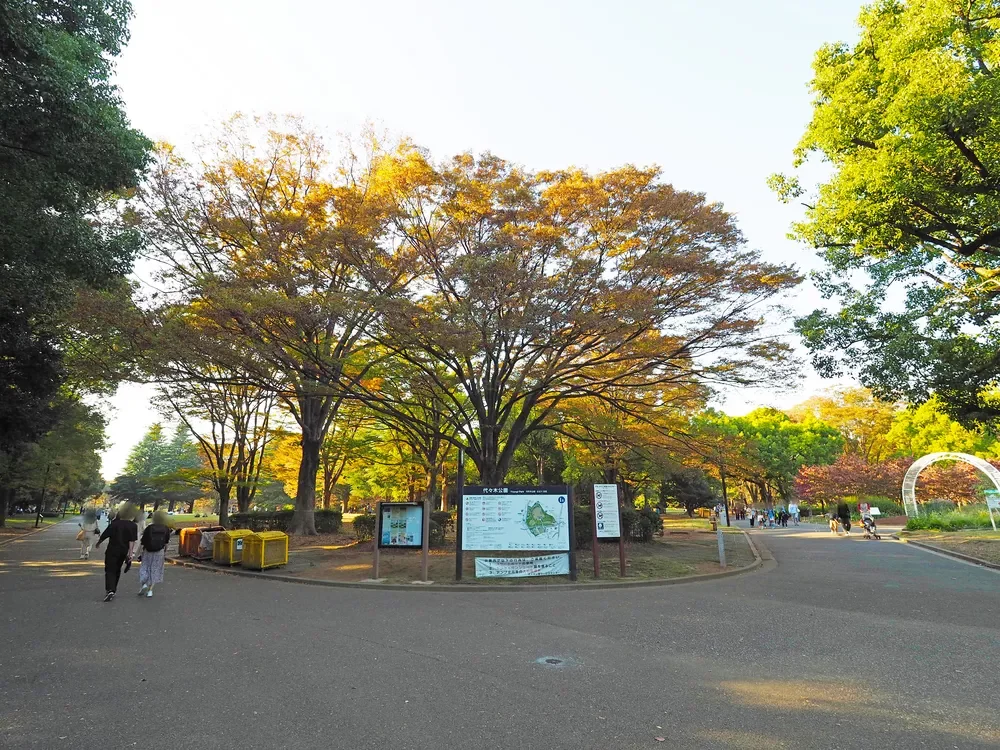 代々木公園