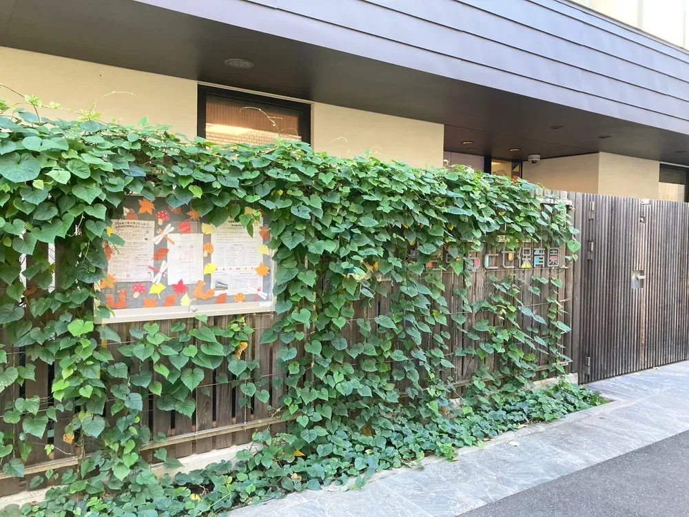 渋谷東ちとせ保育園