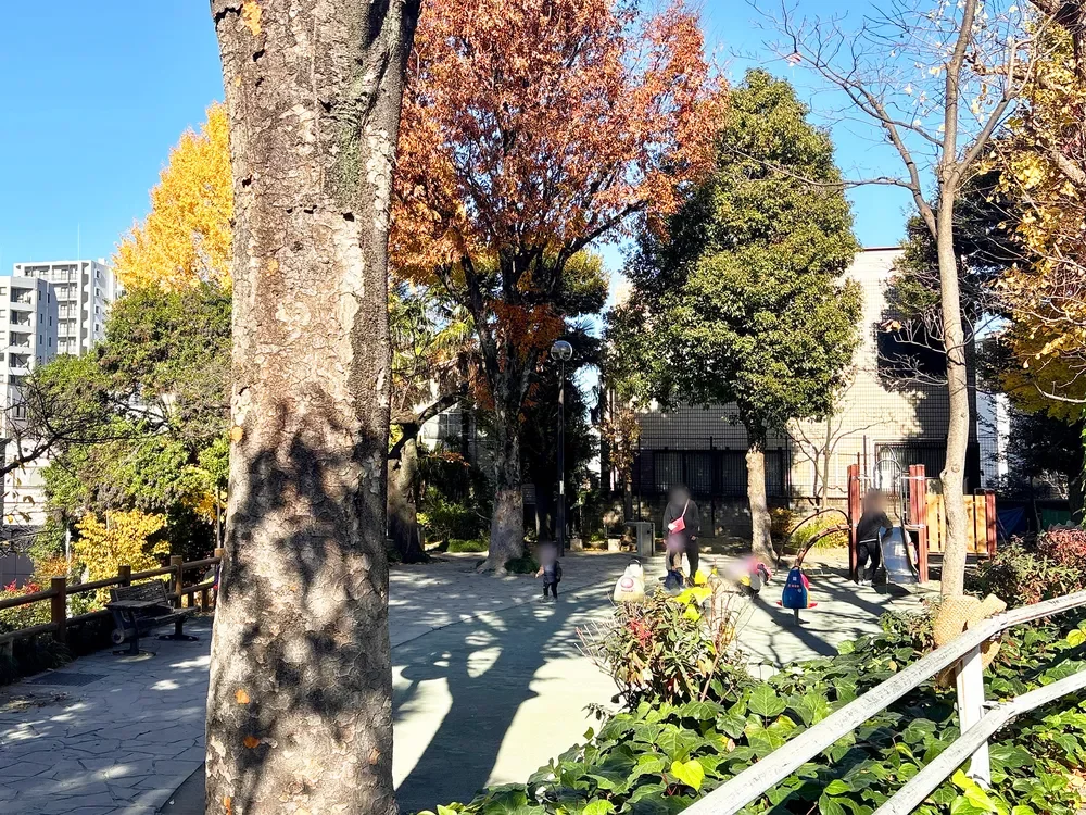 文京区立清和公園