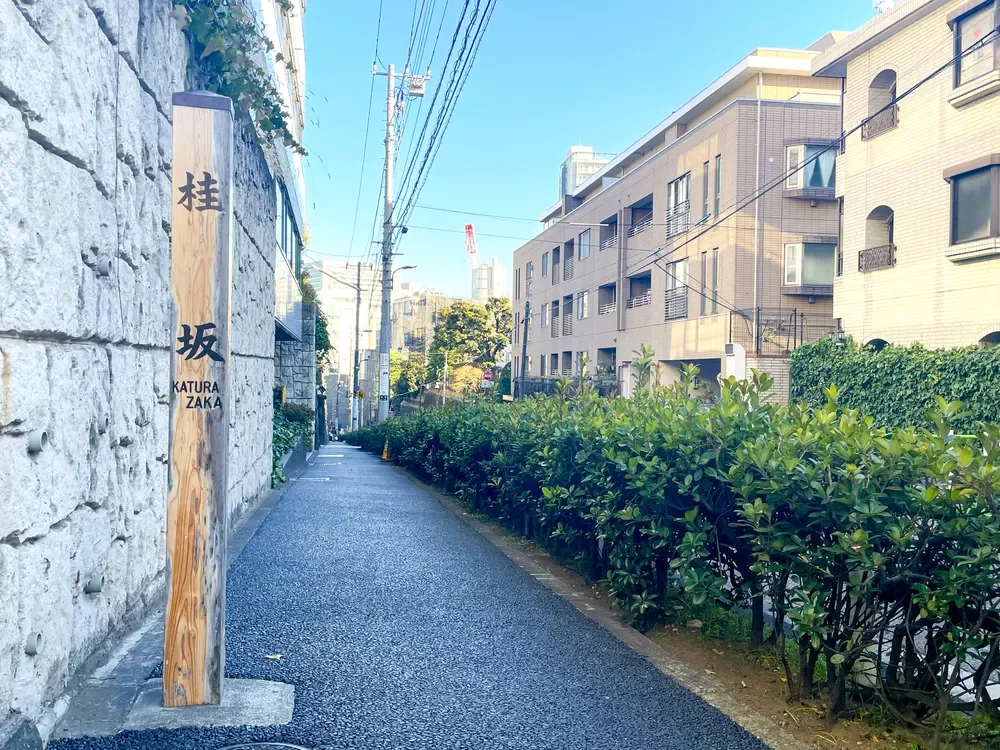 桂坂