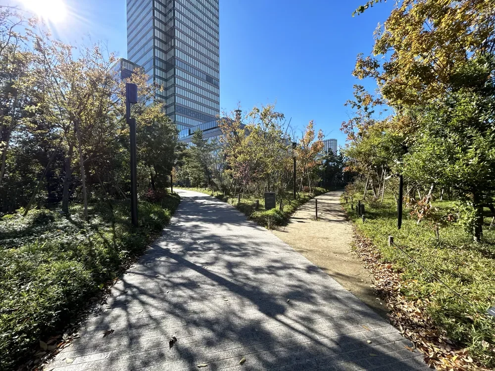 DNP市ヶ谷の杜 遊歩道