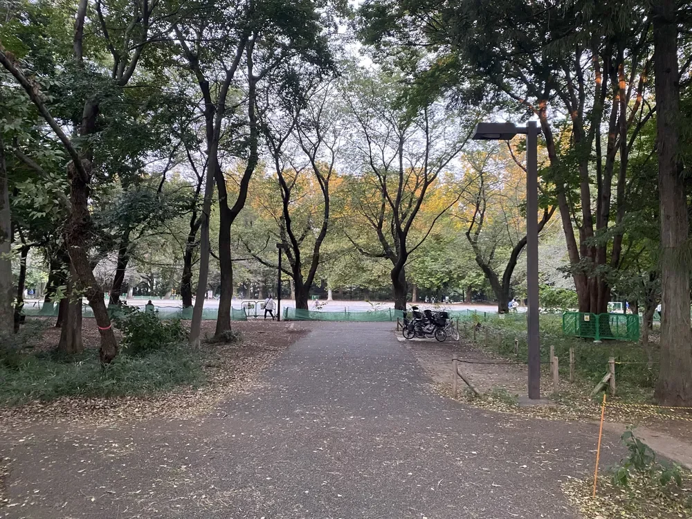 林試の森公園