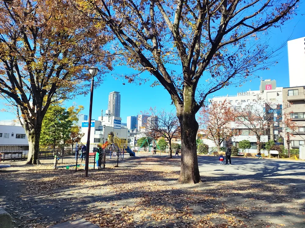 一ツ木公園