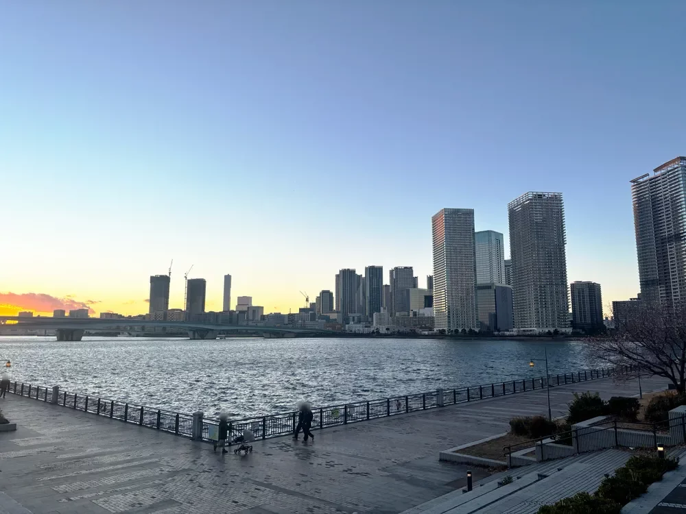 豊洲公園から見たタワーマンション郡
