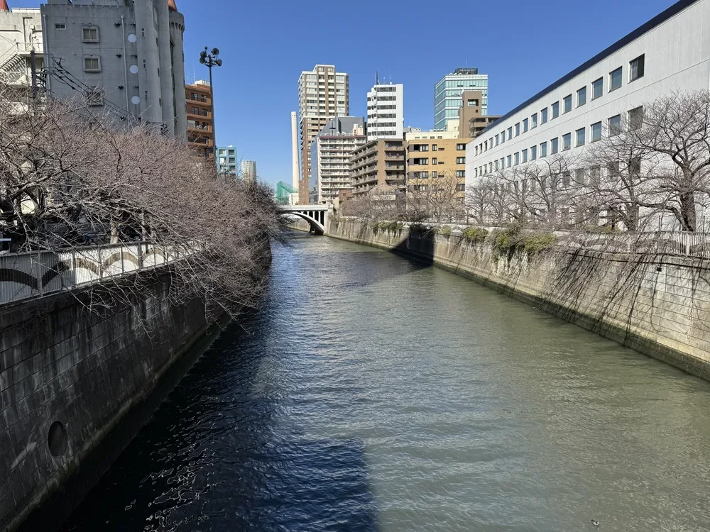 目黒川