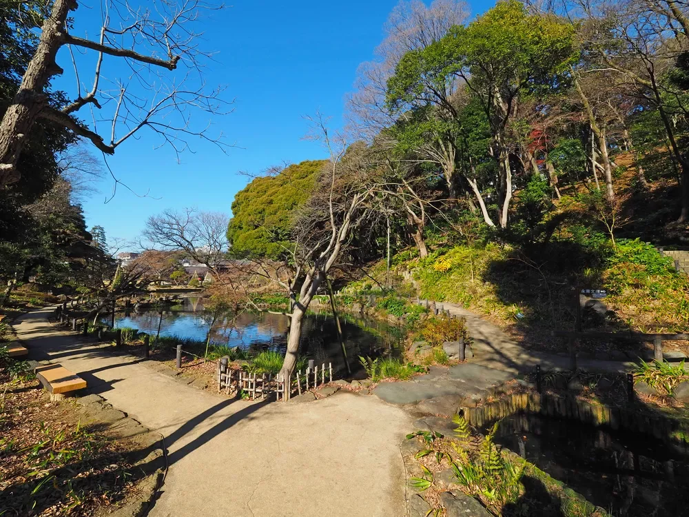 文京区立肥後細川庭園