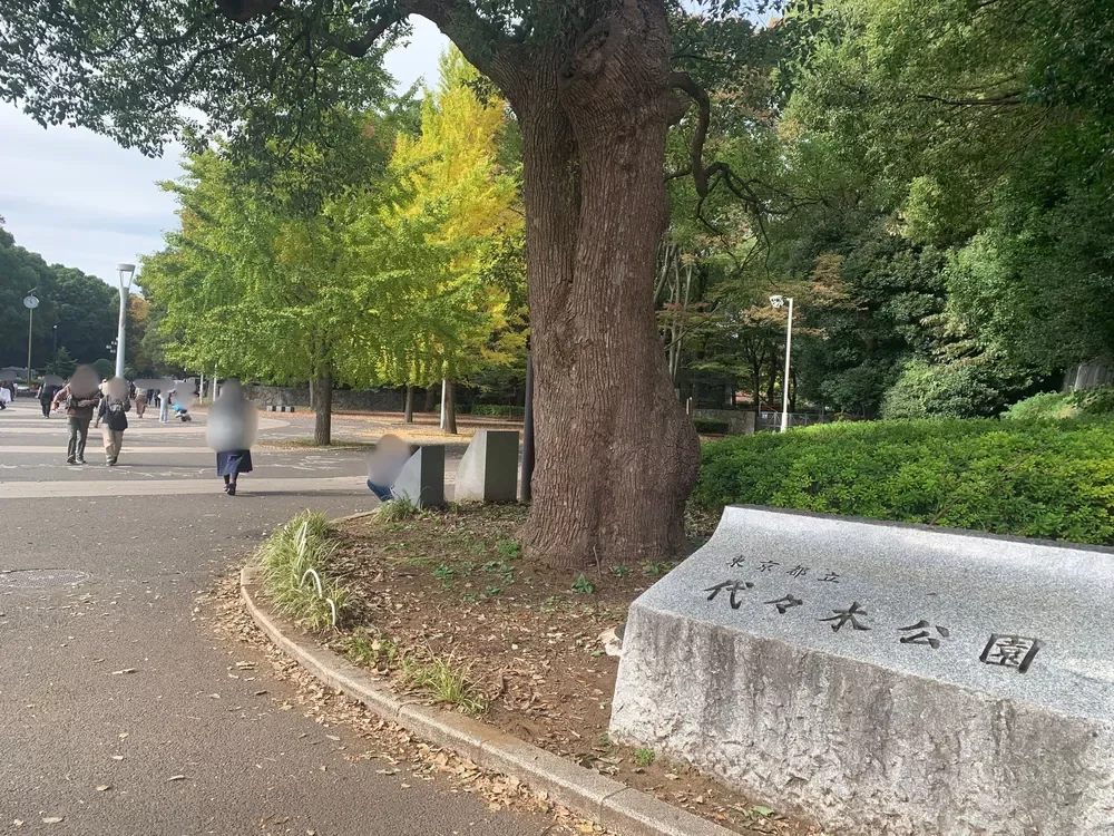 代々木公園