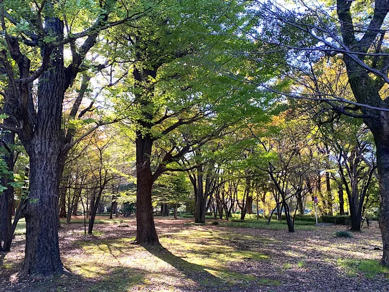 北の丸公園