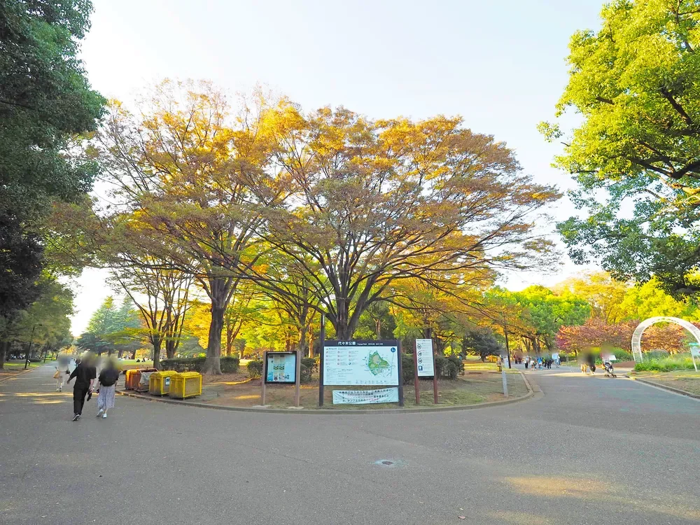 代々木公園