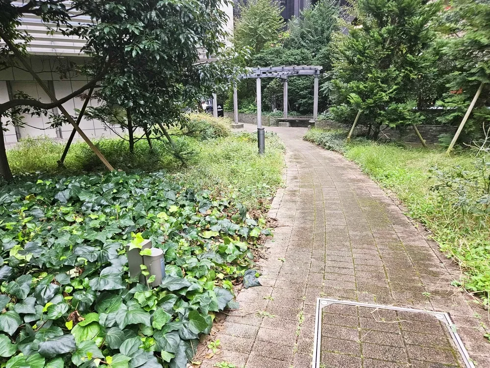 パークシティ大崎ザタワー内のガーデン