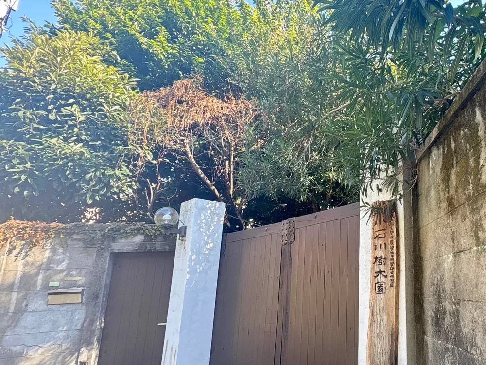 小石川植物園 裏門