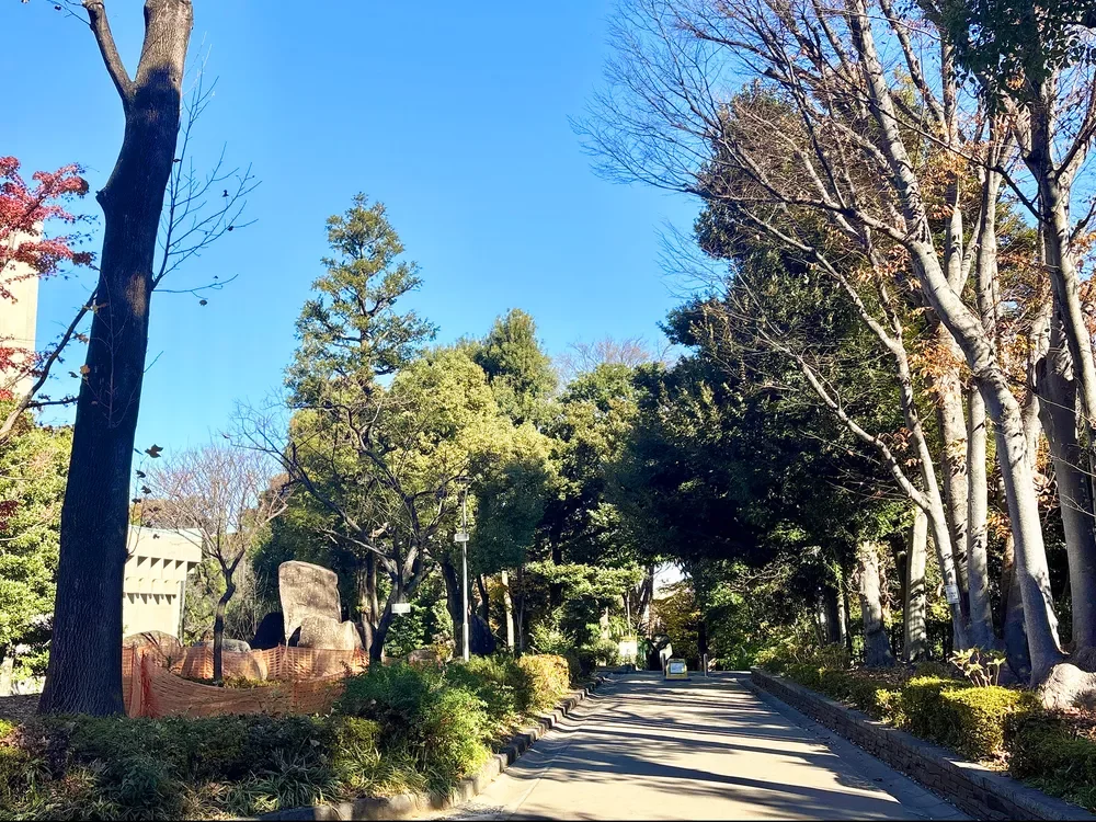 文京区教育の森公園