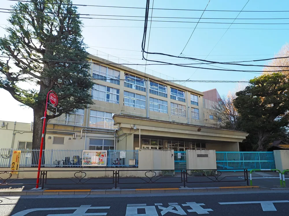 関口台町小学校