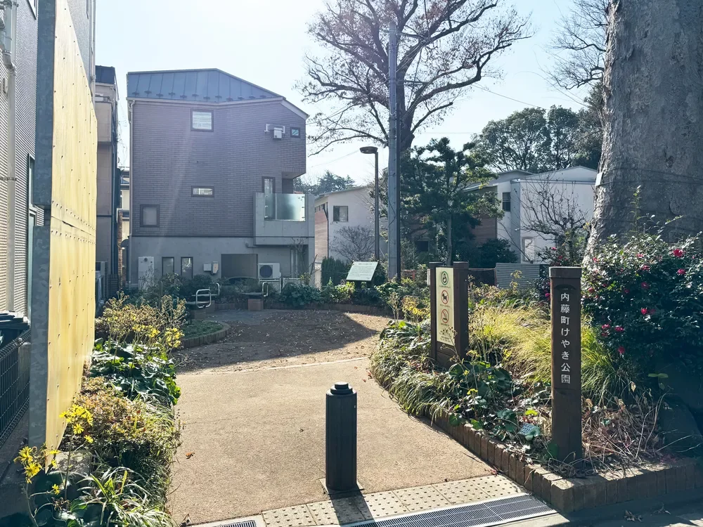 内藤町けやき公園