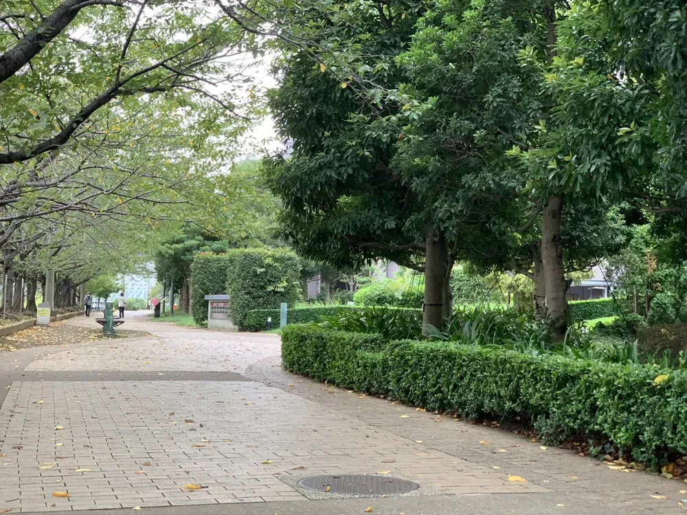 中央区立石川島公園