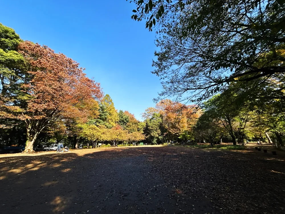 林試の森公園