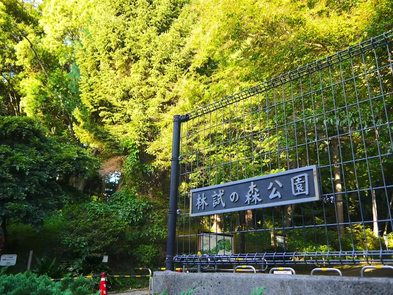 林試の森公園 東門