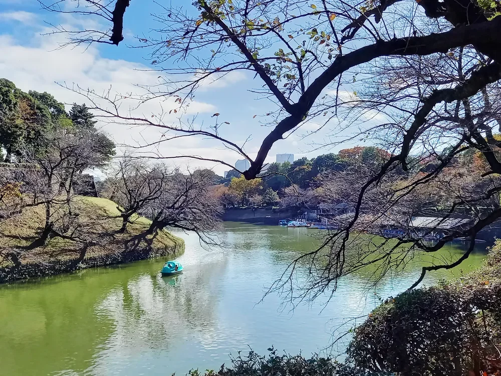 区営千鳥ヶ淵ボート場
