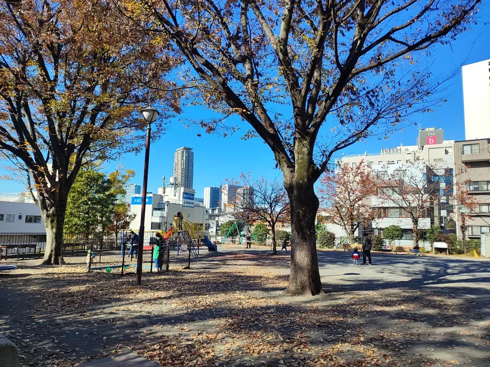 一ツ木公園