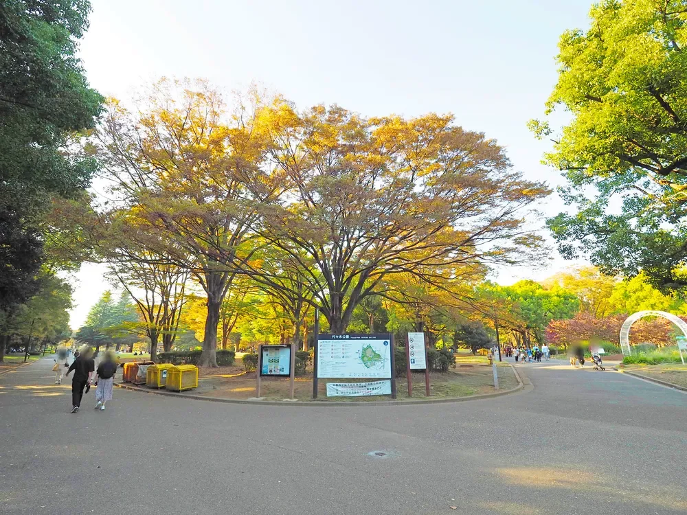 代々木公園