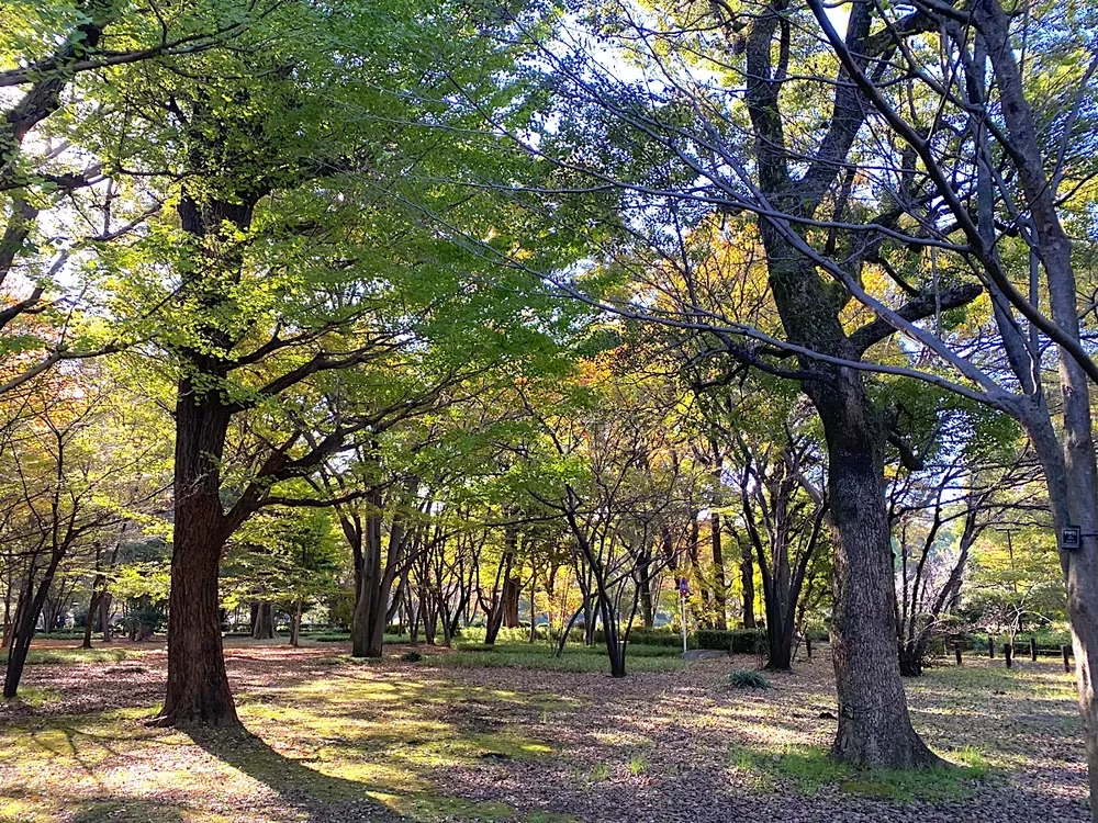 北の丸公園