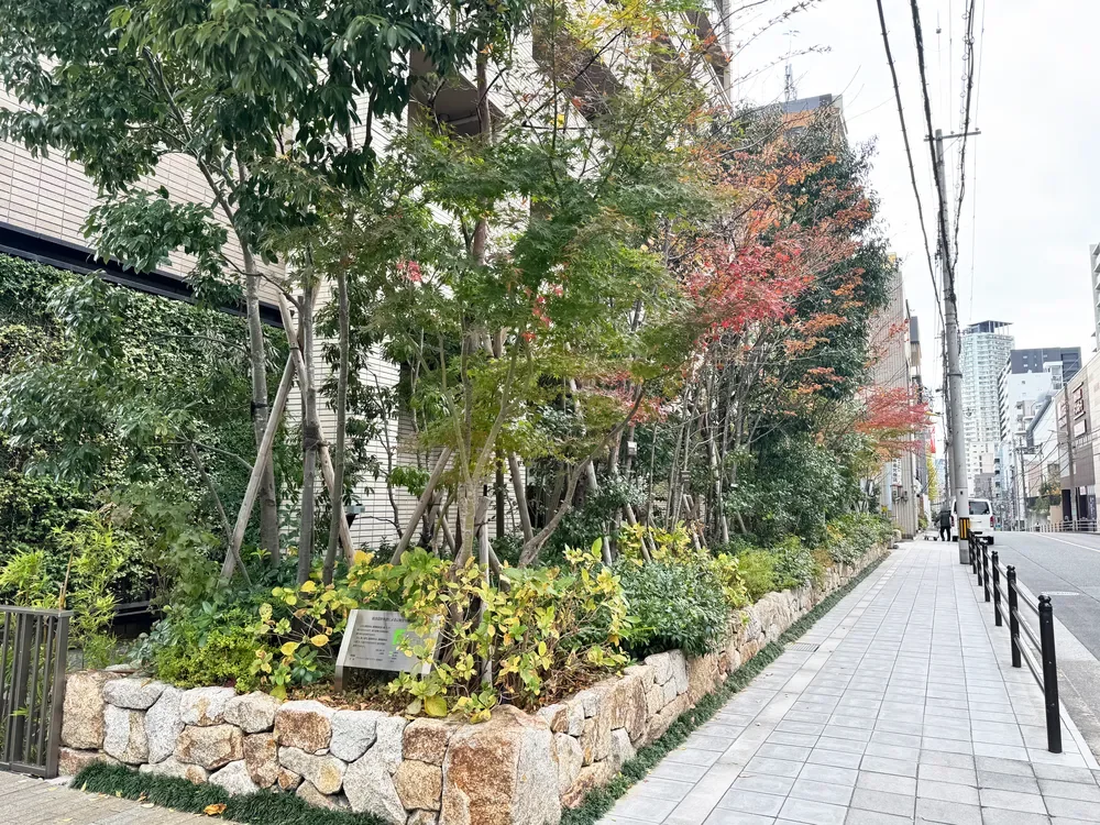 グランドメゾン上町台ザ・タワー 北側植栽