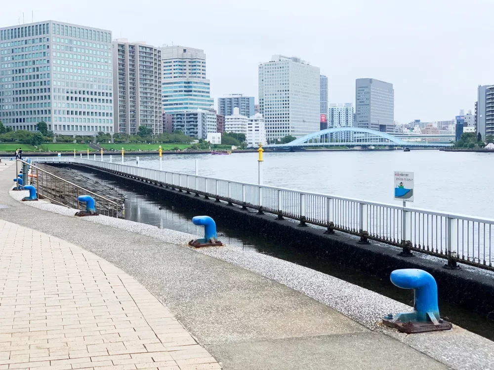 中央区立石川島公園