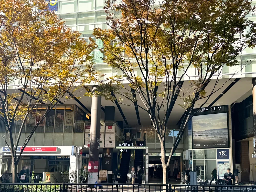 アキバ・トリム