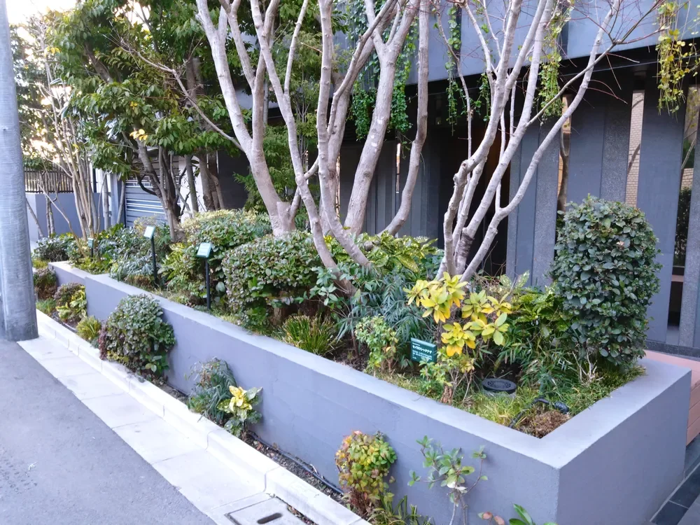 ザ・サンメゾン白金台五丁目植栽
