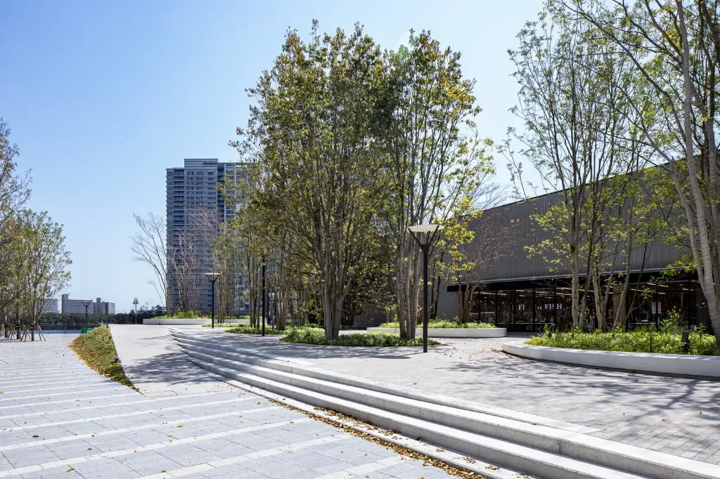 ブランズタワー豊洲 ウェーブテラス