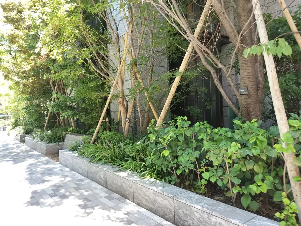 プレミスト靱本町　植栽部