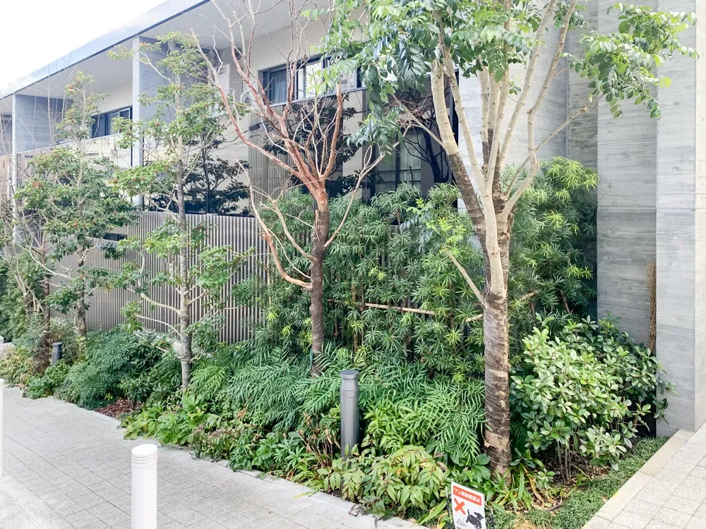 ディアナコート池田山公園 植栽