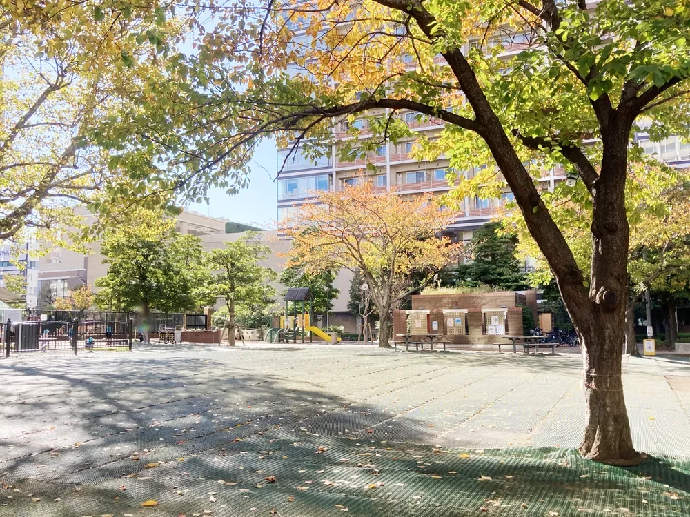 プラタナス公園