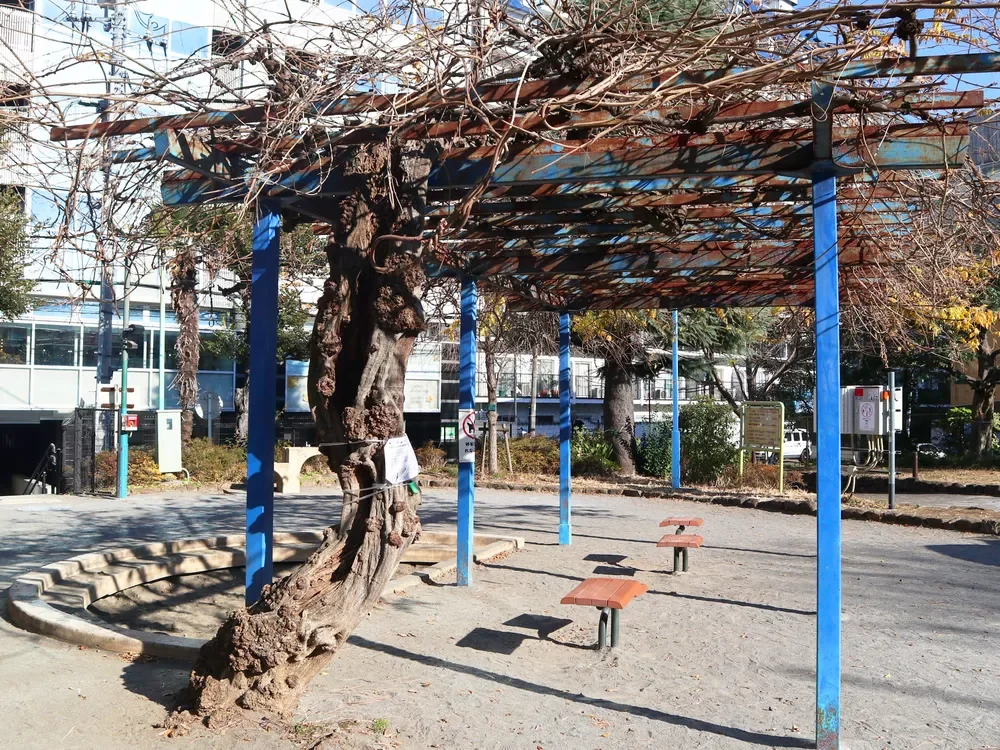 猿楽古代住居跡公園