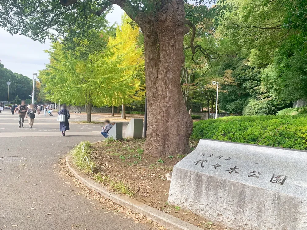 東京都立代々木公園