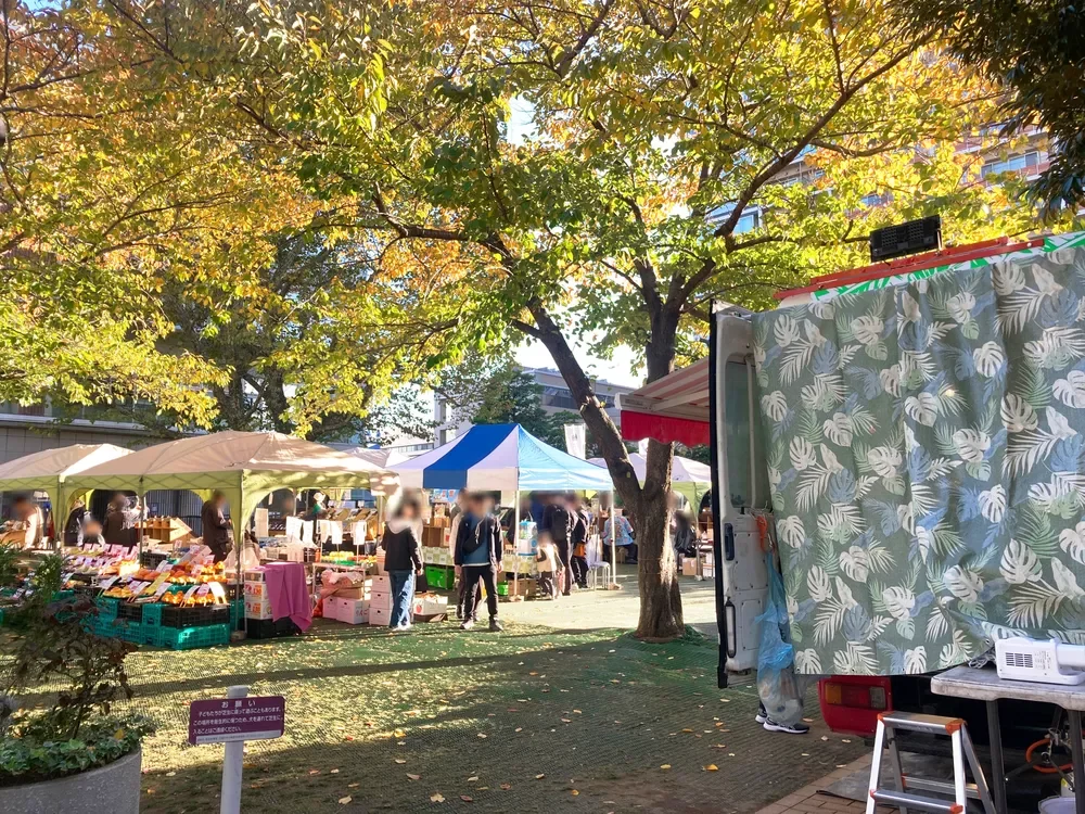 プラタナス公園