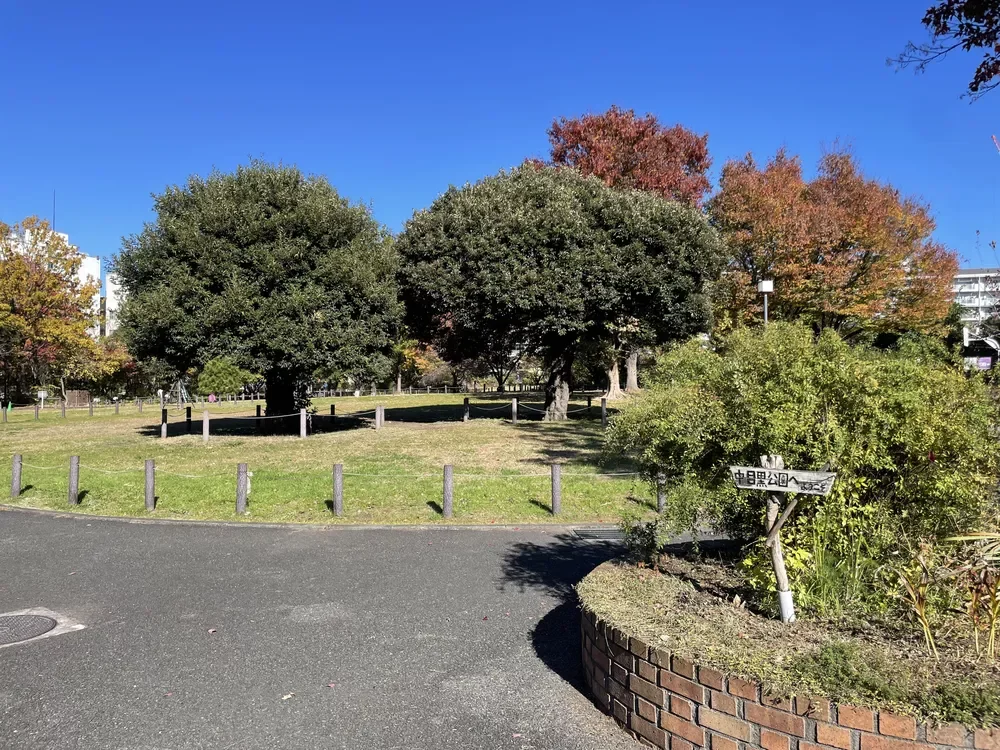 中目黒公園