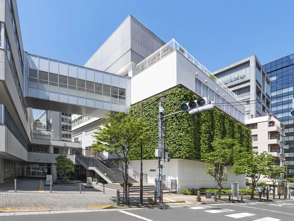 文教エリアだけに学び舎も各所に。写真は区立富士見小学校。