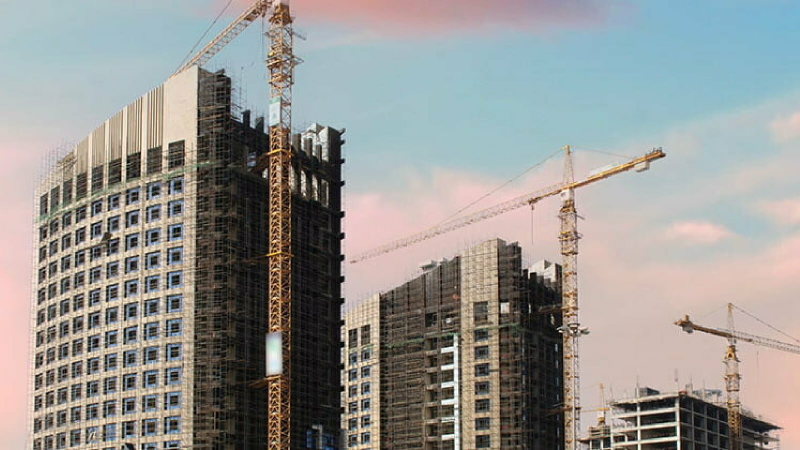 専門家コラムVol.31｜イメージ