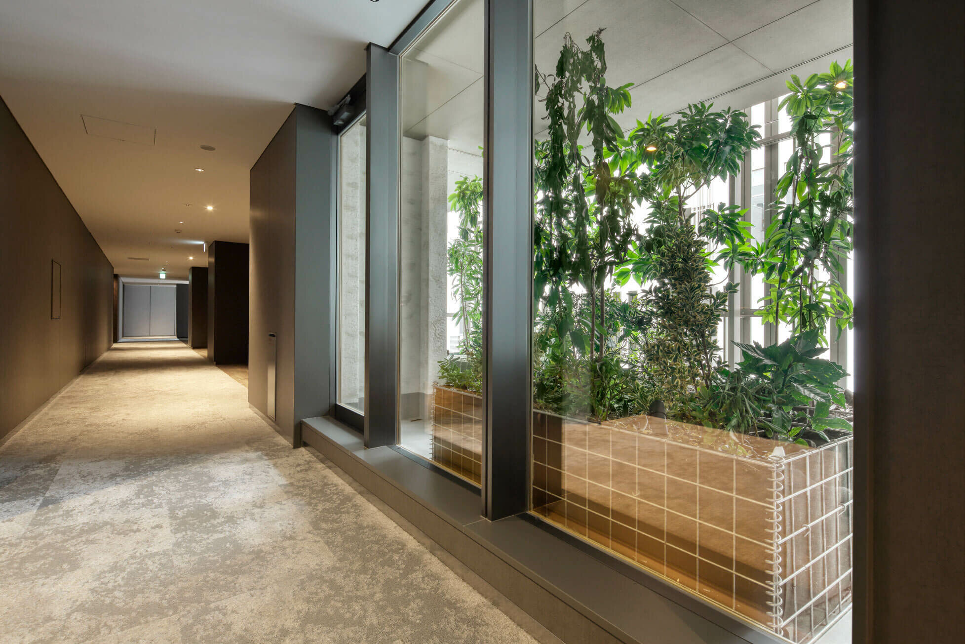 内廊下｜フォレストゲート代官山レジデンス