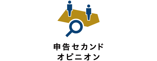 申告セカンドオピニオン（無料）