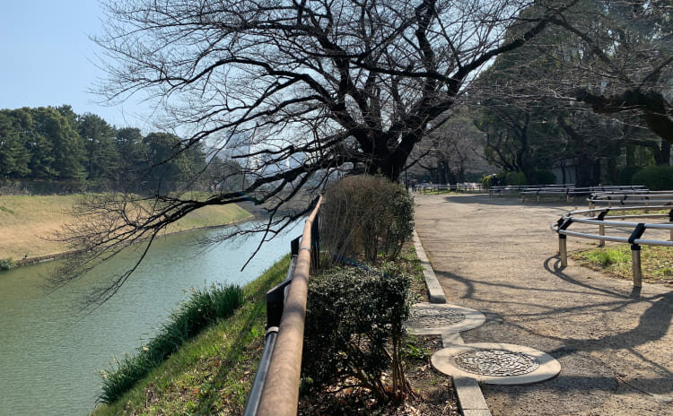 千鳥ヶ淵公園