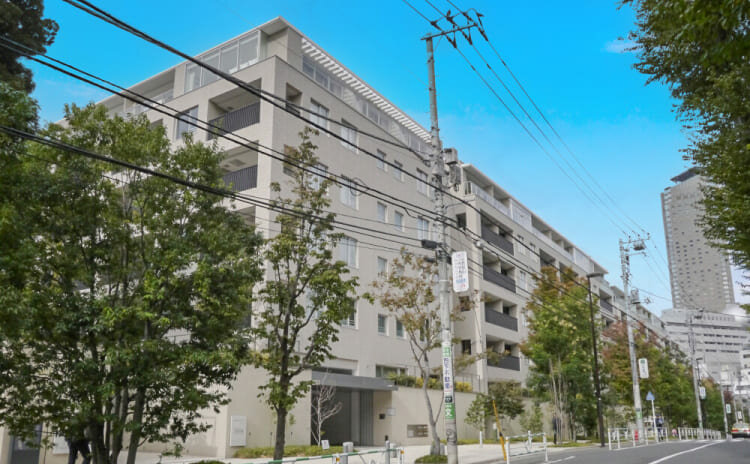 センチュリーフォレスト