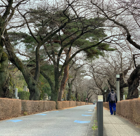 青山霊園