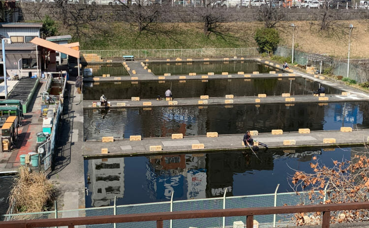 市ヶ谷フィッシュセンター